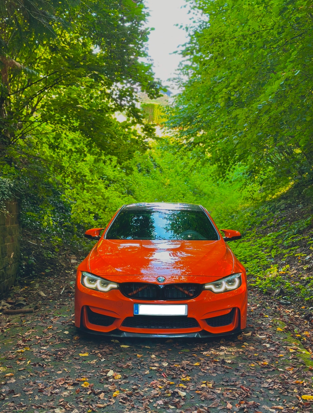 BMW F80 M3 F82 M4 CSL YELLOW DRL KIT